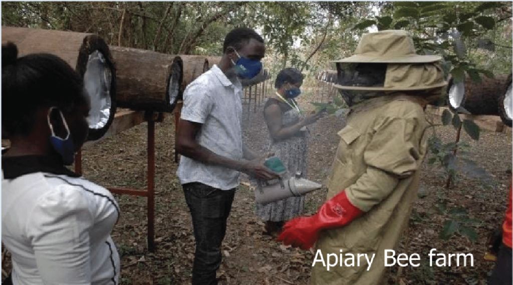 Beekeeping training session