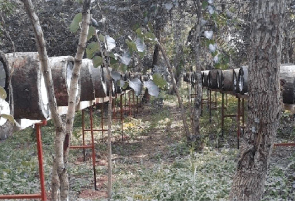 Sustainable beekeeping practices