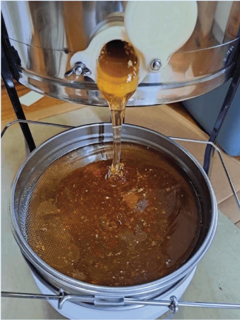 Fresh Honey